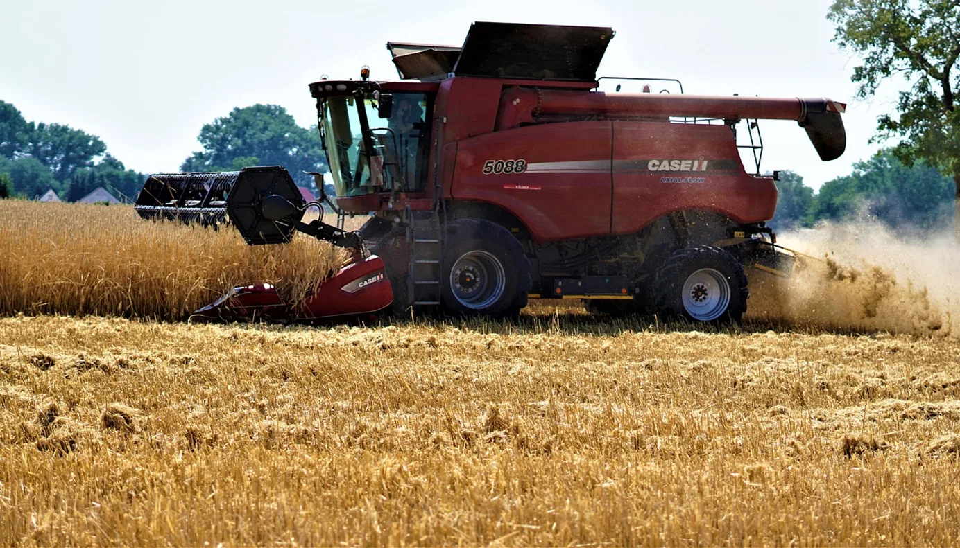 Harvest, summer and template