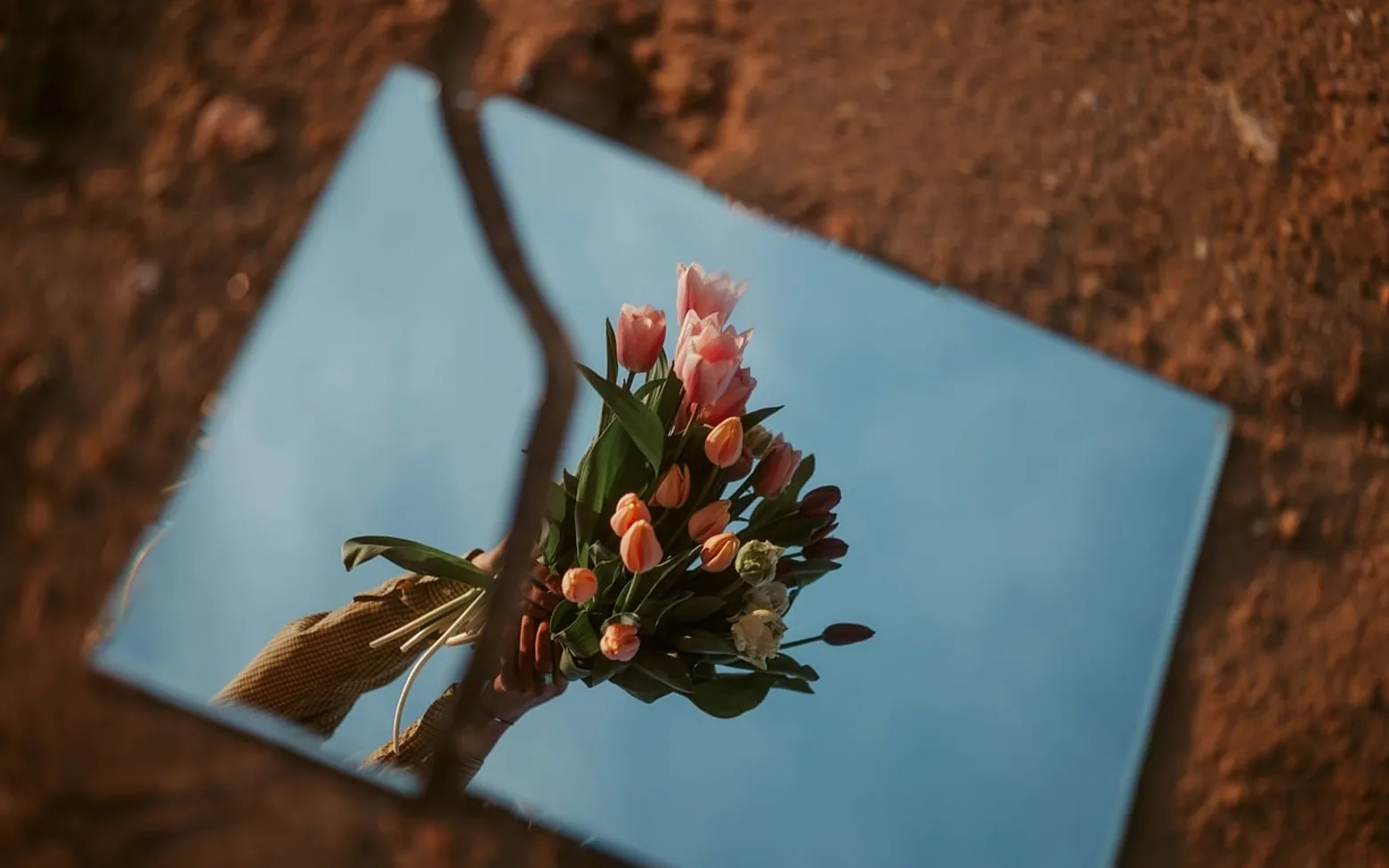 Flowers, mirror and reflection